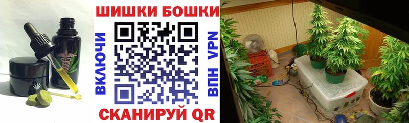 как найти закладки  Ртищево  Canna-Cookies марихуана 