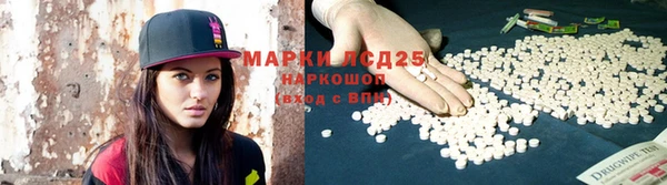 индика Новозыбков