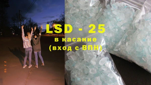 индика Новозыбков