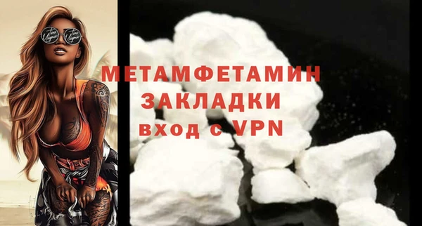 индика Новозыбков