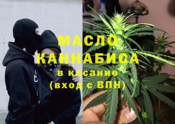 индика Новозыбков