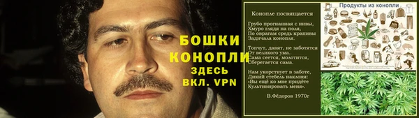 индика Новозыбков