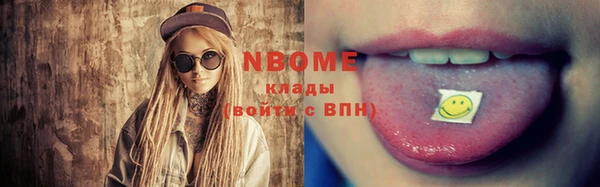 индика Новозыбков