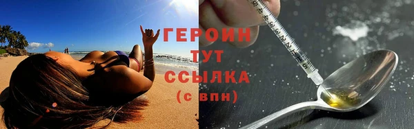 индика Новозыбков