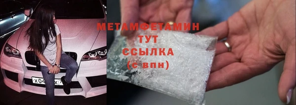 индика Новозыбков