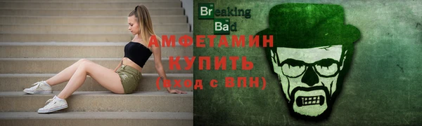 индика Новозыбков