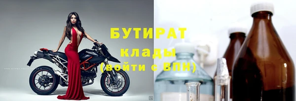 индика Новозыбков