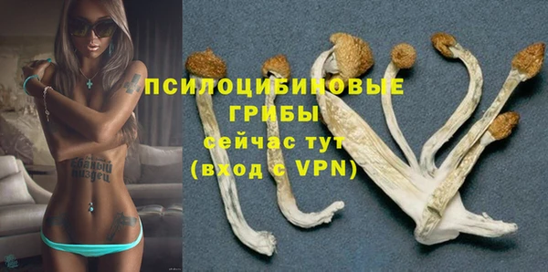 круглые Новодвинск