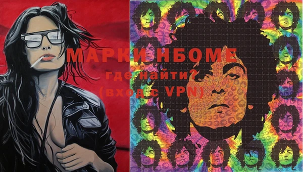 ешки Новокубанск
