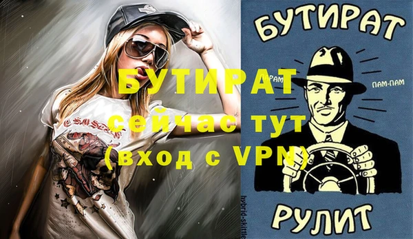 индика Новозыбков