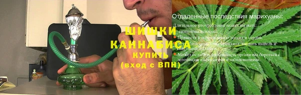индика Новозыбков