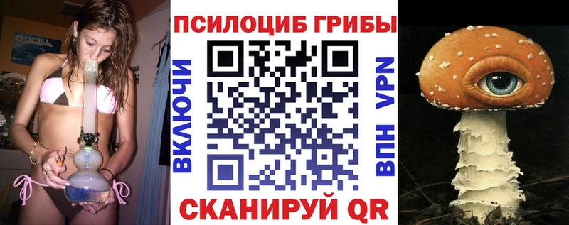 kraken маркетплейс  Ртищево  Псилоцибиновые грибы MAGIC MUSHROOMS 